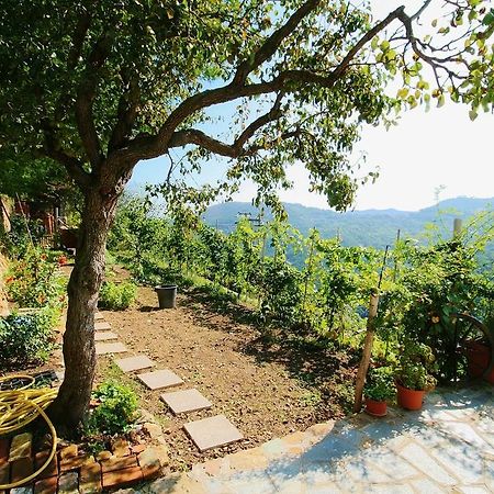 Agriturismo Costamagna Noli Bagian luar foto