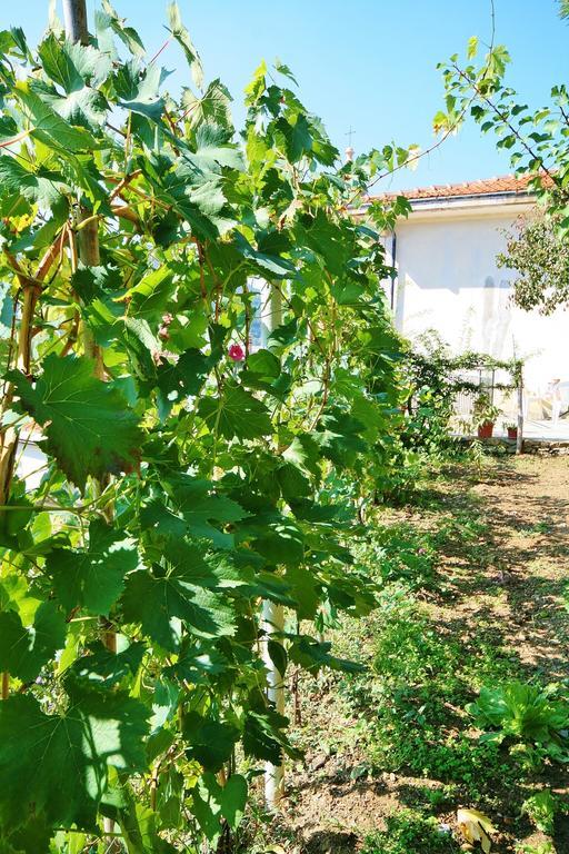 Agriturismo Costamagna Noli Bagian luar foto